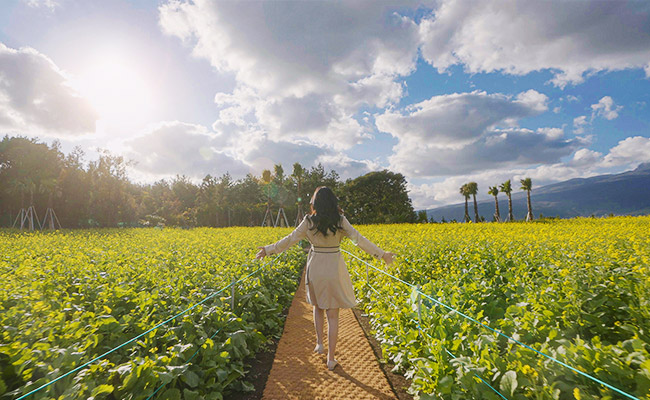 activity_detail_image