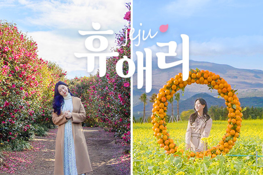 제주 휴애리 자연생활공원 입장권