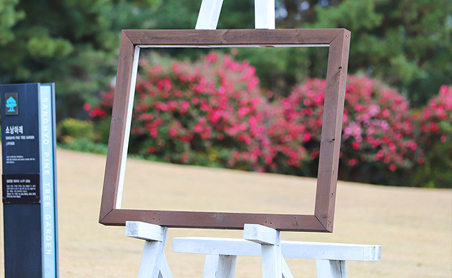 activity_detail_image