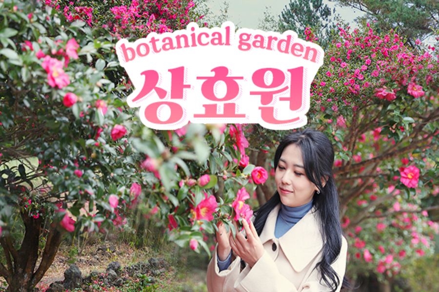 제주 상효원 입장권