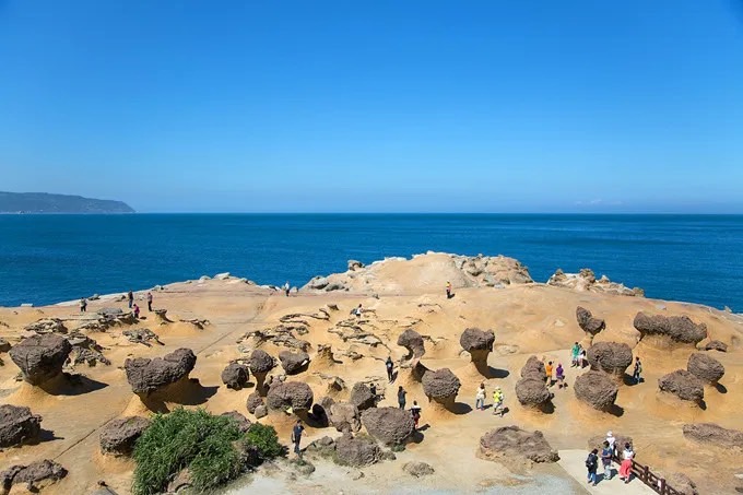 activity_detail_image