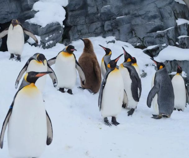 activity_detail_image