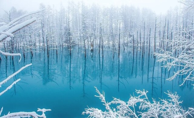 activity_detail_image