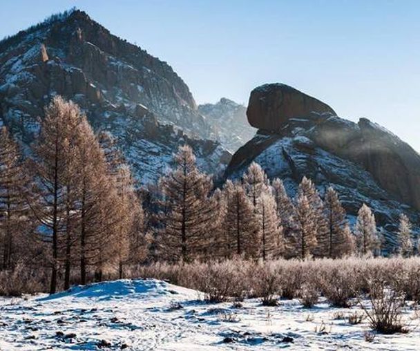 activity_detail_image