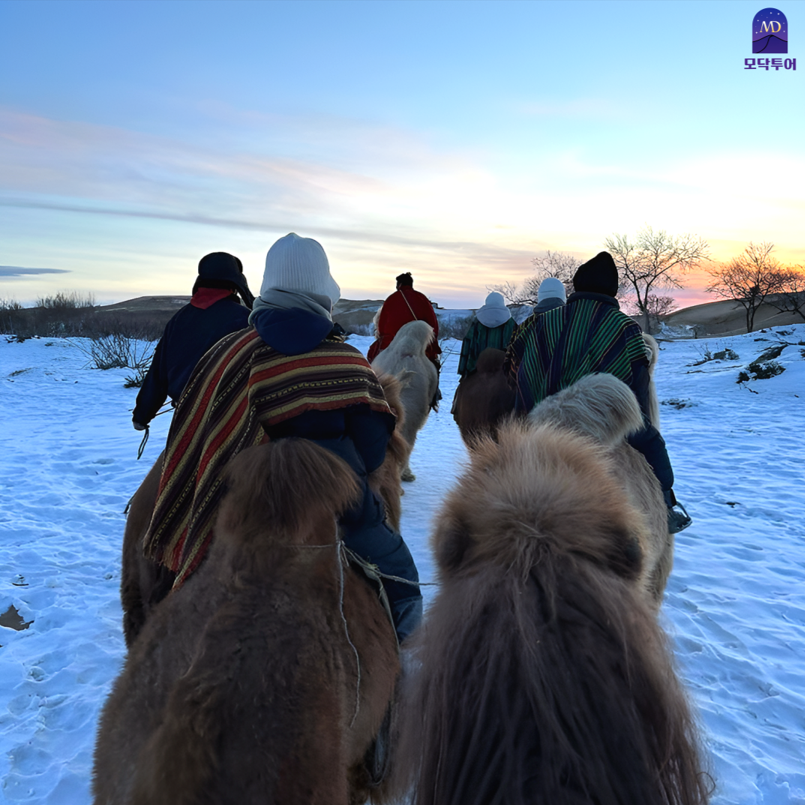 [모코투어] [5박6일] 겨울 몽골 중부코스 테를지 투어 (미니사막 + 쳉헤르 온천)