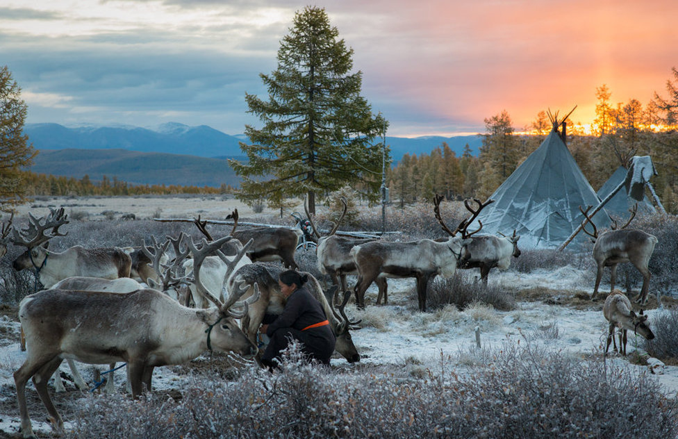[모코투어] [6박7일] 겨울 몽골 중부 + 북부 투어 (홉스골 + 차탄족 + 테를지)
