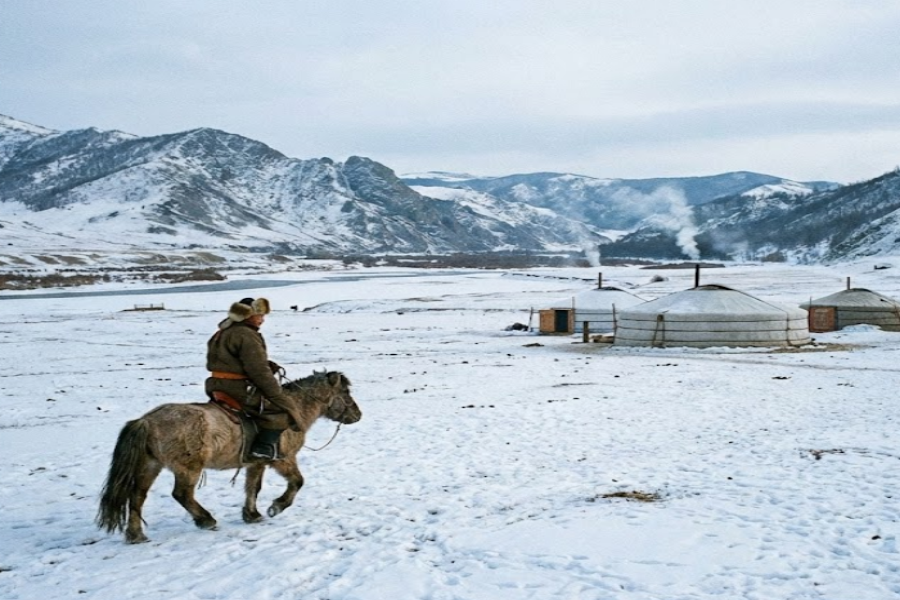 [Starry Night Part 2 / 1Day 2Nights] Terelj Starlight Experience Tour