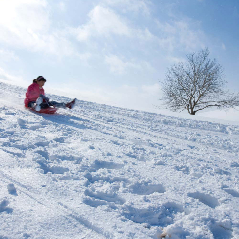 경남 양산 에덴밸리 눈썰매장 이용권