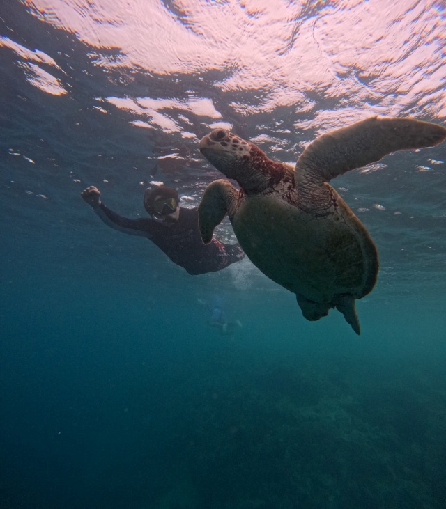 セブ オスロップ キャナニング モアルボアル 南部ツアー（オスロップ·ファストトラック付）