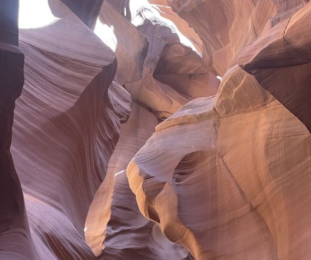 activity_detail_image