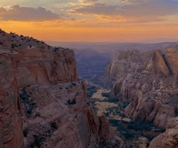 activity_detail_image