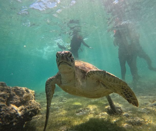 activity_detail_image