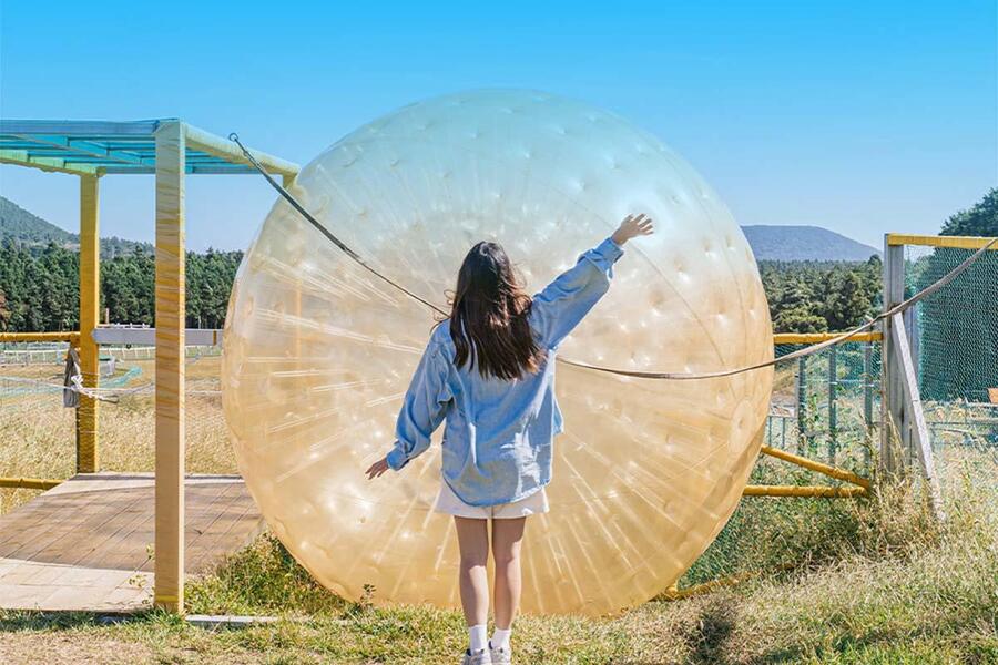 제주 빅볼랜드 입장권