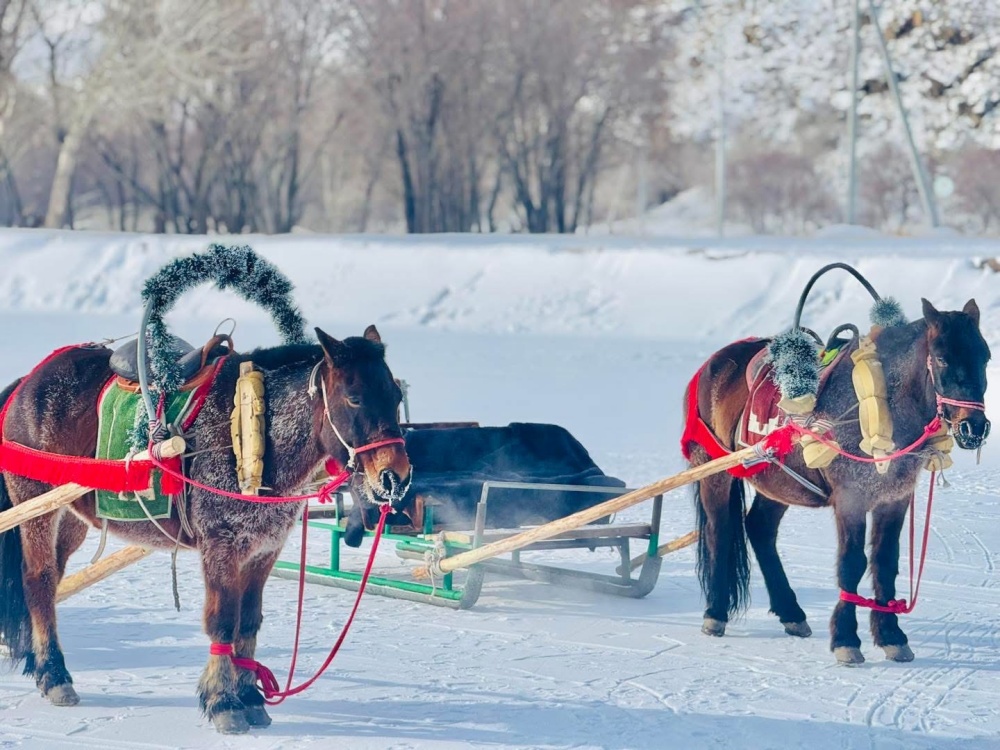 [루나투어] [4박5일] 겨울 몽골 중부 투어 (미니사막 + 쳉헤르 온천 + 오기호수 + 테를지)