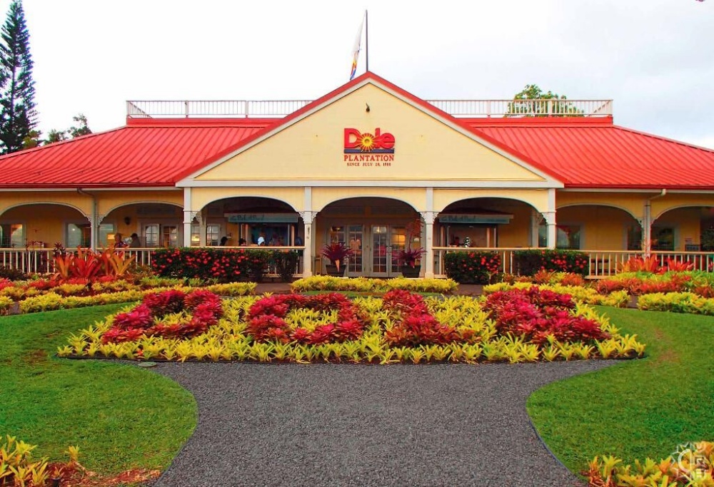 Waikiki Departure: Round-Trip Shuttle Bus to Dole Plantation & Haleiwa Town