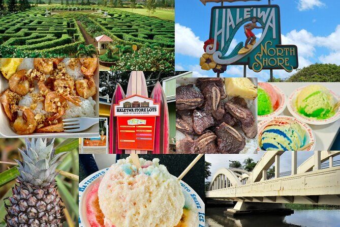 Waikiki Departure: Round-Trip Shuttle Bus to Dole Plantation & Haleiwa Town