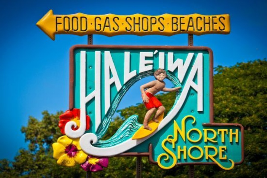 Waikiki Departure: Round-Trip Shuttle Bus to Dole Plantation & Haleiwa Town