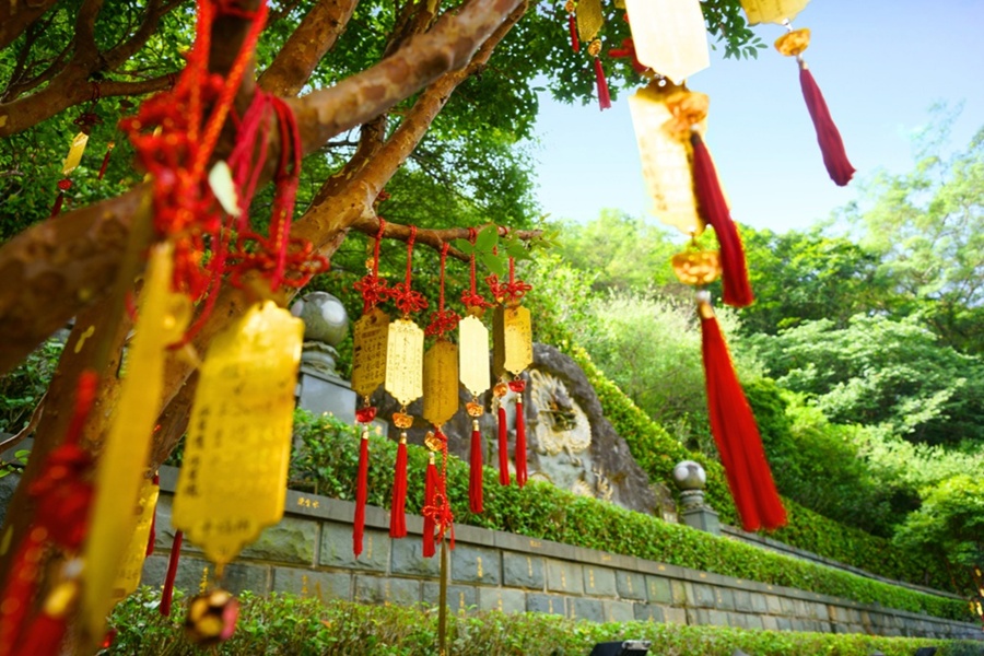 타이베이 마오콩 곤돌라 1일권 & 마오콩 현지 체험 선택 (1가지 / 2가지)