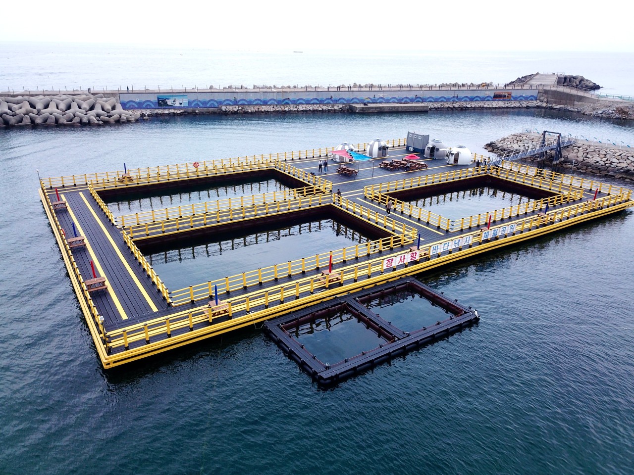 강원 장사항 바다 낚시 체험 공원 이용권