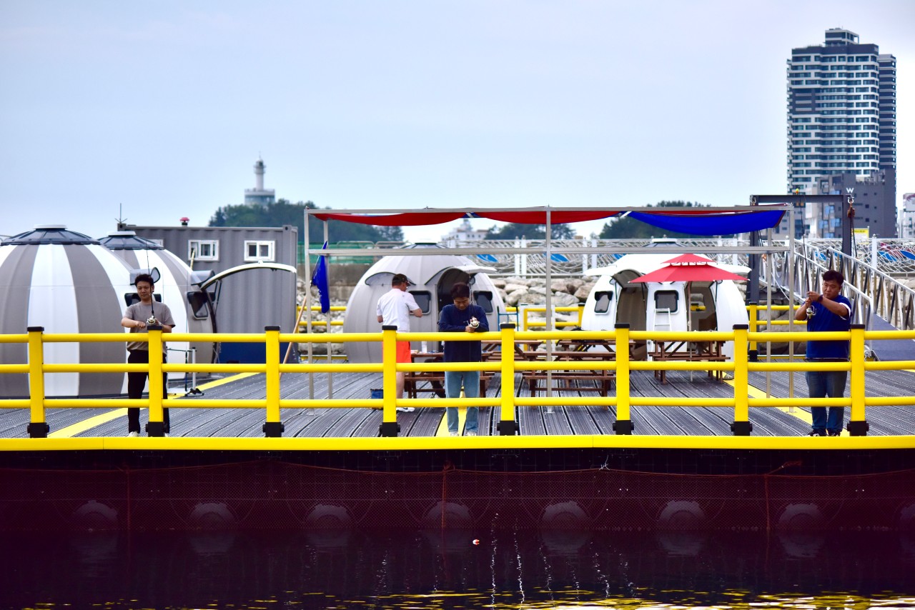 강원 장사항 바다 낚시 체험 공원 이용권