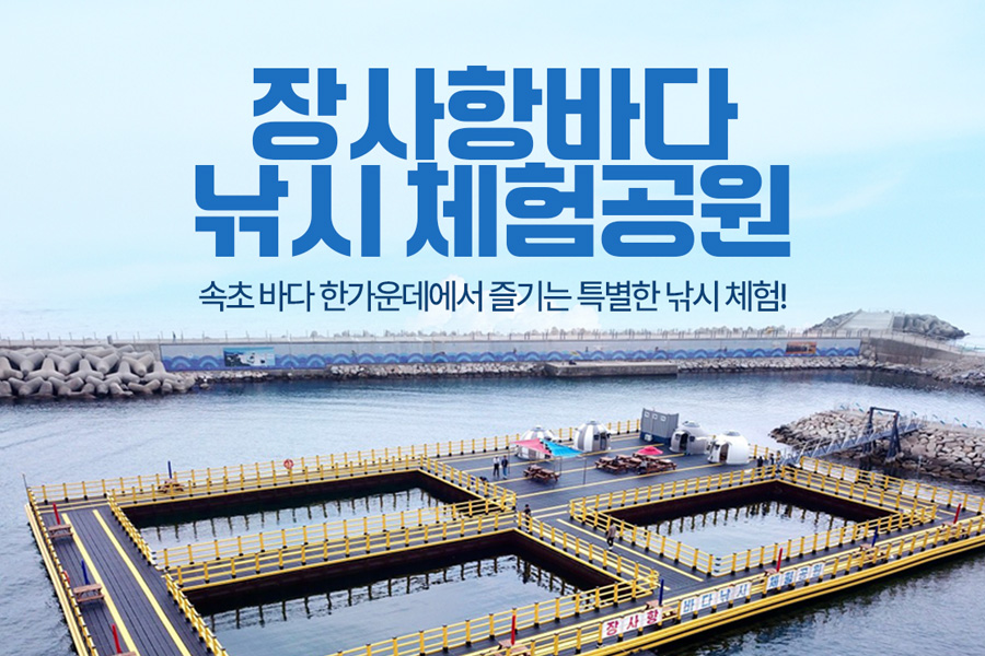 강원 장사항 바다 낚시 체험 공원 이용권