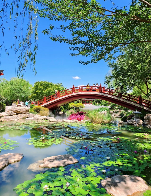 Xi'an Terracotta Army and Huaqing Pond Silk Road Show VVIP Seat Day Tour