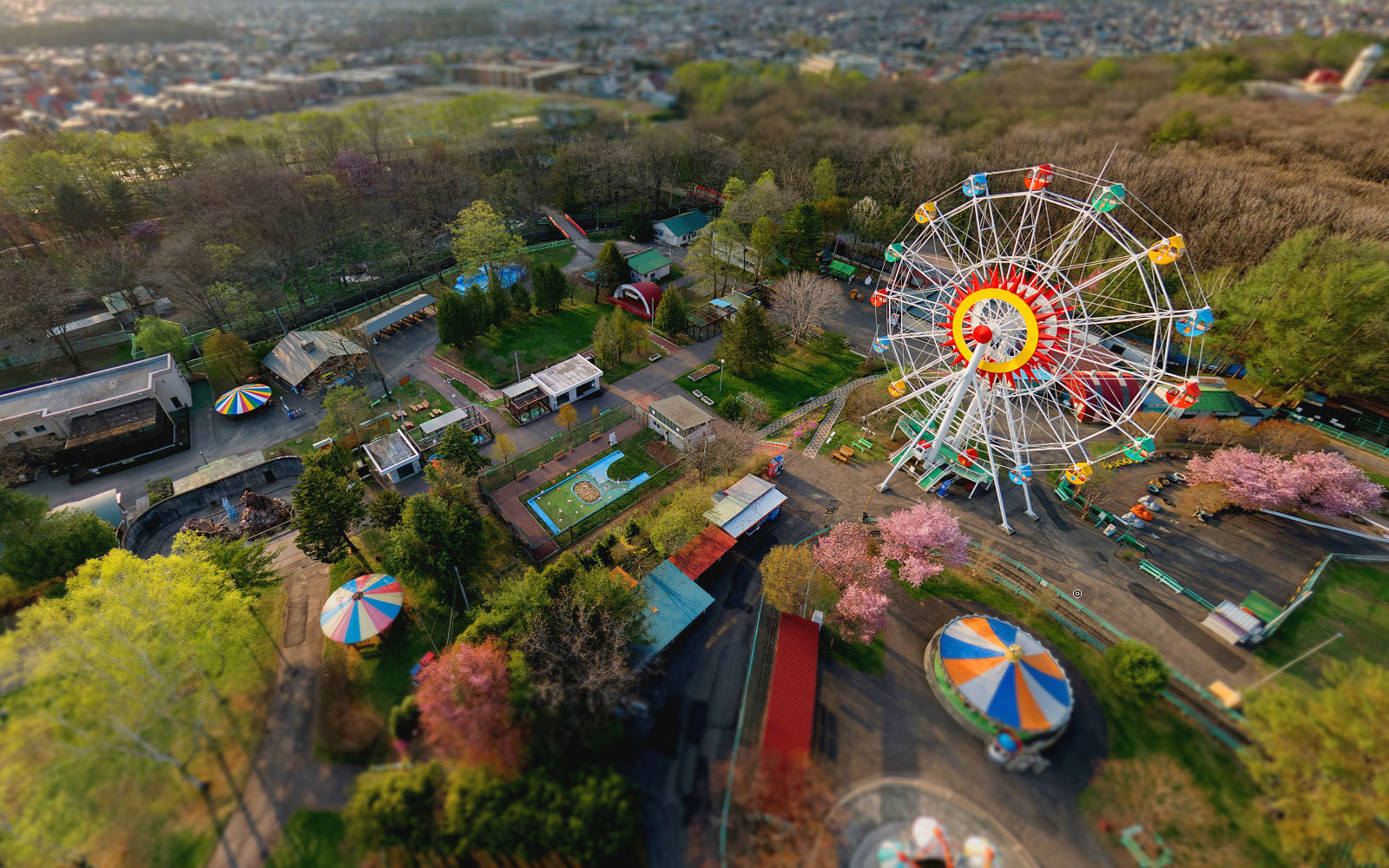 홋카이도 오비히로 프라이빗 단독 차량 일일투어