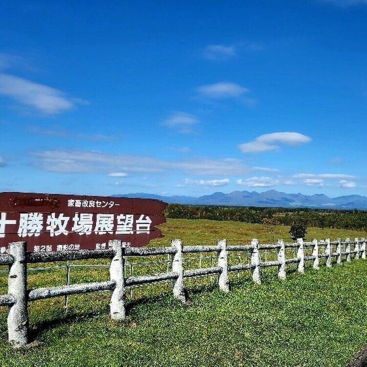 홋카이도 오비히로 프라이빗 단독 차량 일일투어