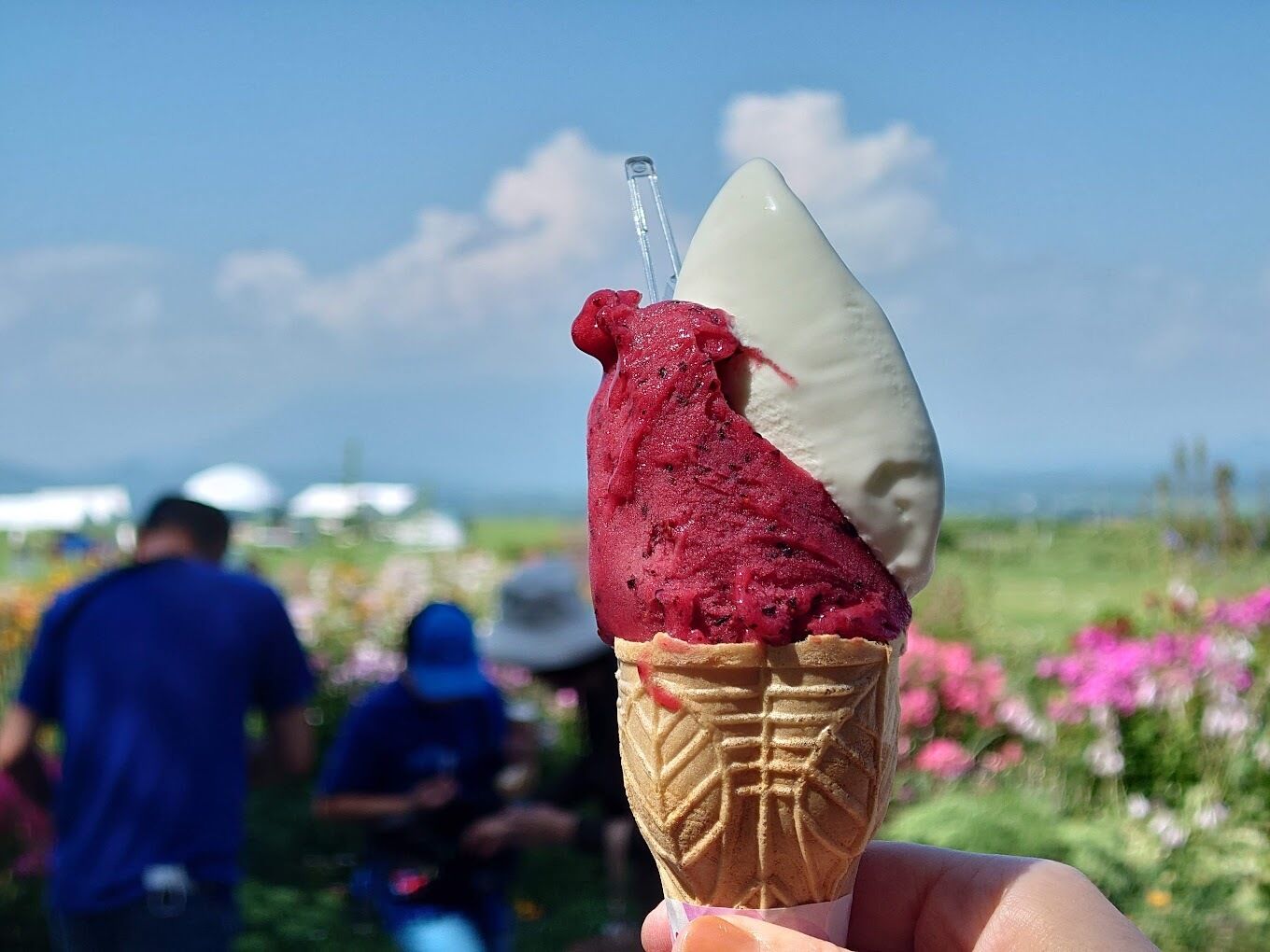 홋카이도 도야호수 프라이빗 단독 차량 일일투어