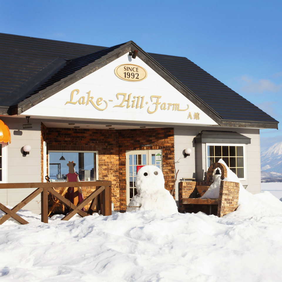 홋카이도 도야호수 프라이빗 단독 차량 일일투어