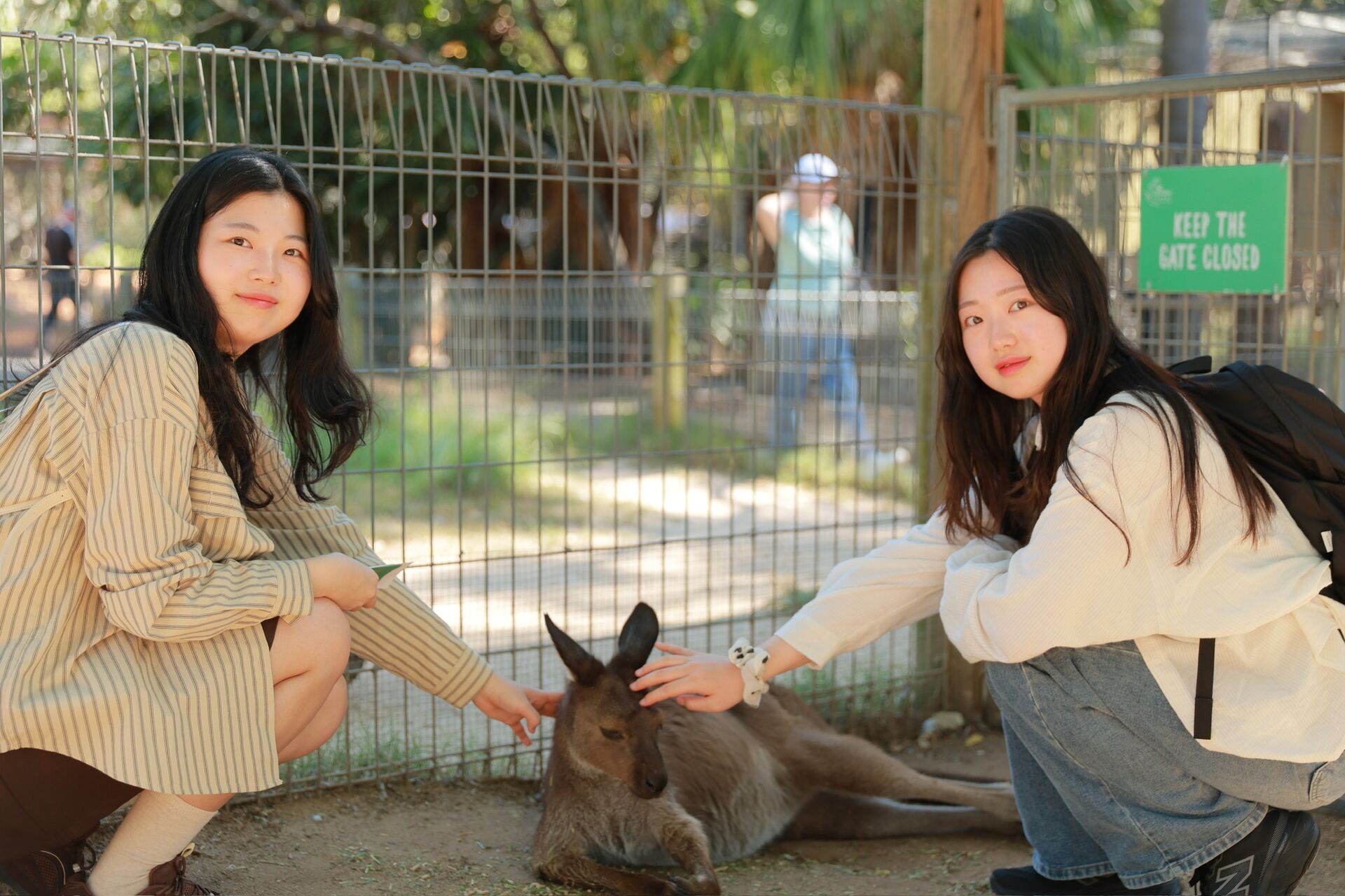 [투어커렌트] 사진에 진심입니다: 오픈런! 페더데일 + 시닉월드 + 블루마운틴 단독 투어