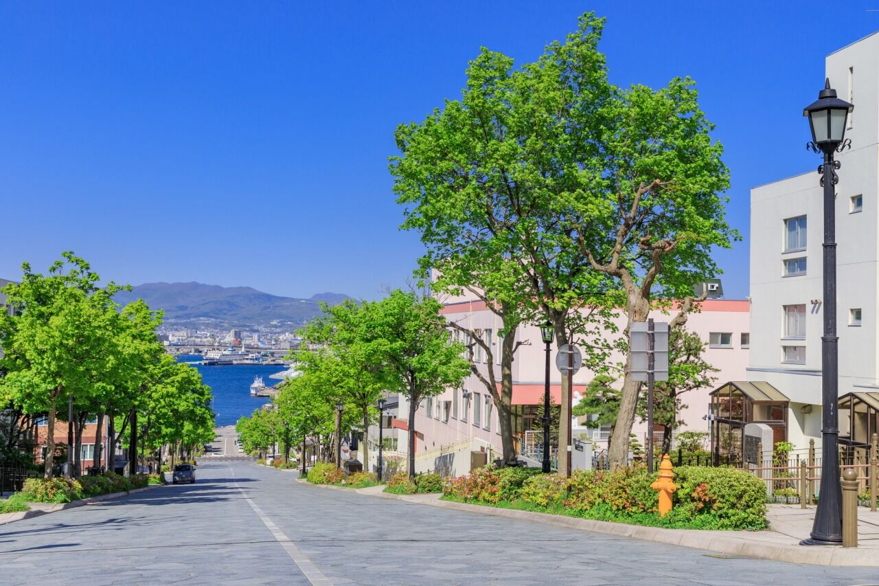 [1박2일] 삿포로 출발: 하코다테 프라이빗 투어