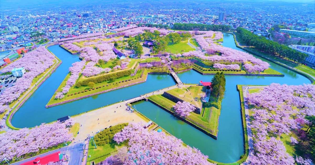 [1박2일] 삿포로 출발: 하코다테 프라이빗 투어