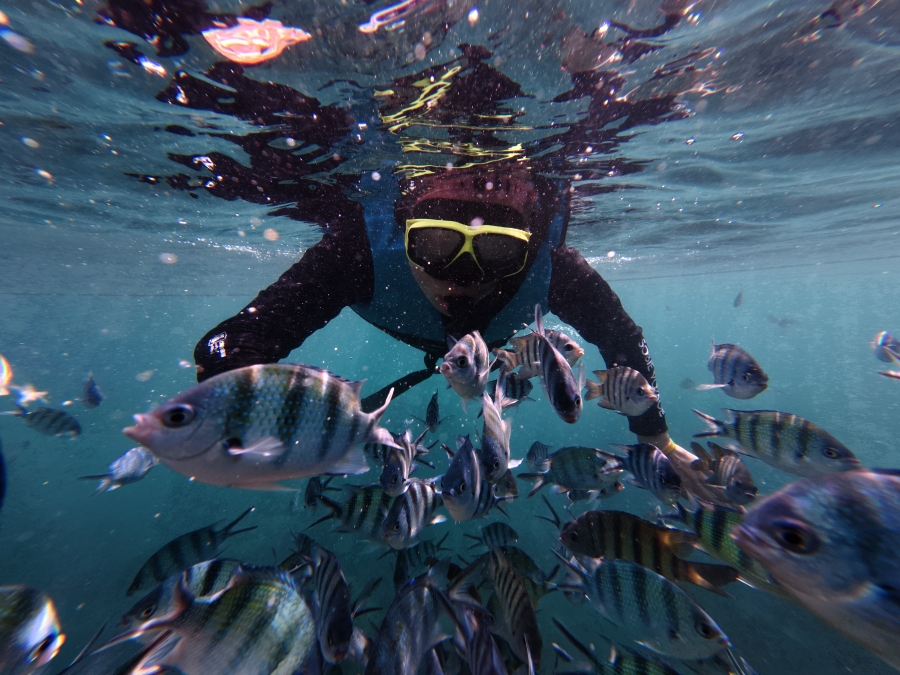 푸꾸옥 3개 섬 카누 투어 (스노클링, 드론 사진 촬영, 디럭스 해산물 점심 포함)