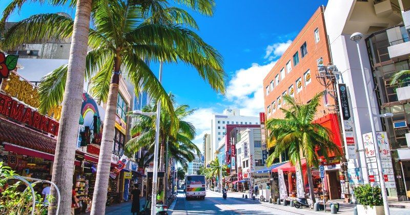 오키나와 나하 공항 및 전지역 픽업/샌딩 교통이동서비스