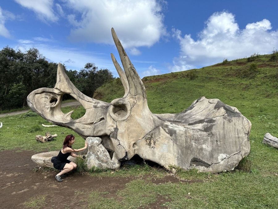 하와이 오아후 72번 해안 풍광 투어 + 쿠알로아랜치 투어 (할리우드 무비사이트 or UTV 랩터 중 선택)