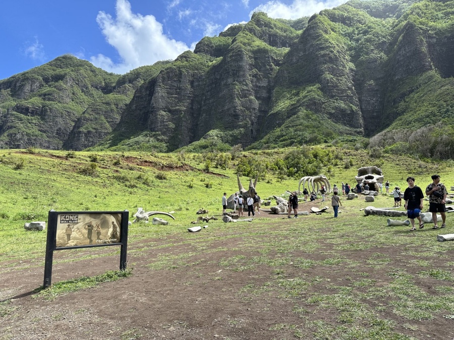 하와이 오아후 72번 해안 풍광 투어 + 쿠알로아랜치 투어 (할리우드 무비사이트 or UTV 랩터 중 선택)