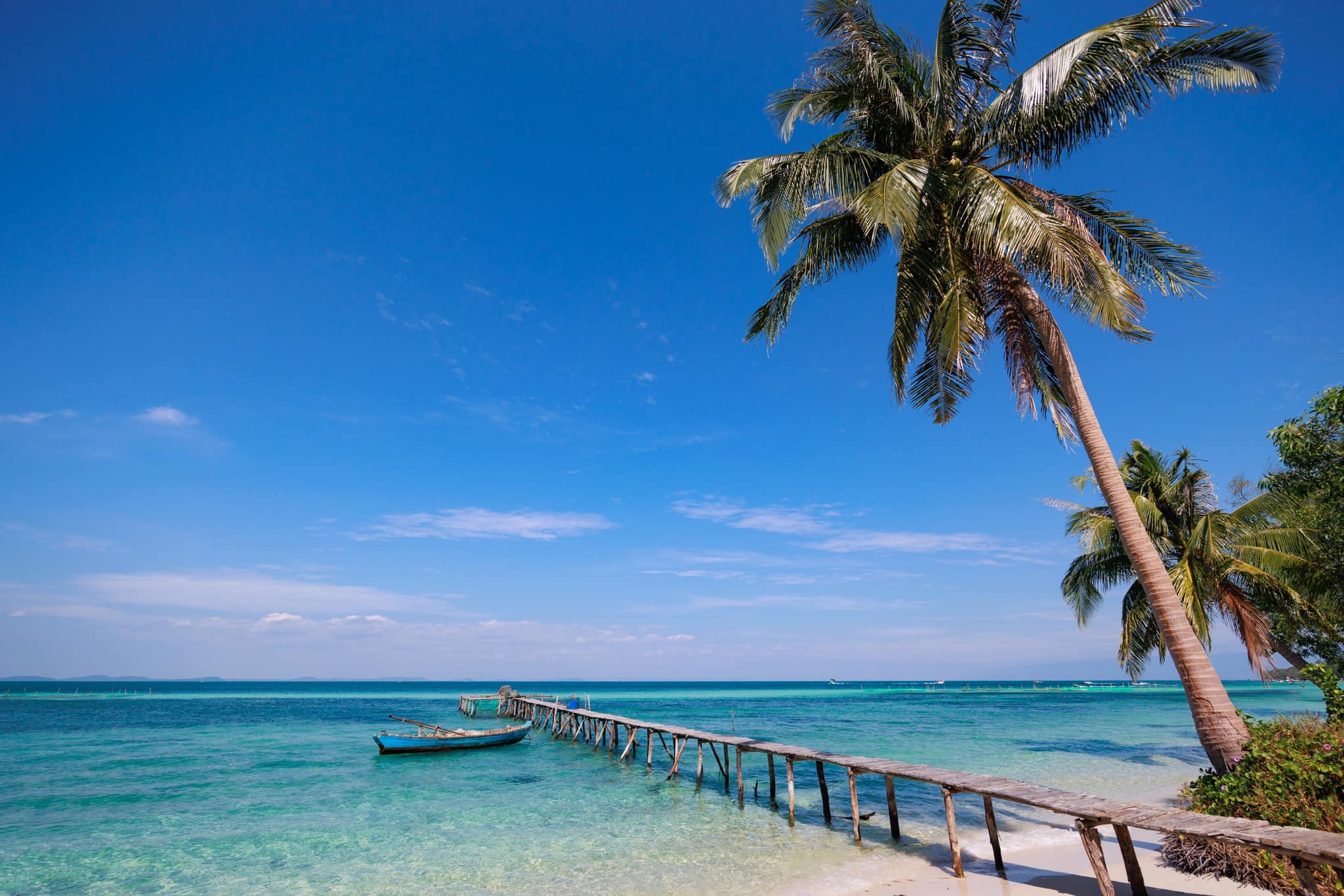 푸꾸옥 라치 벰 불가사리 관찰 투어 (해산물 점심 포함)