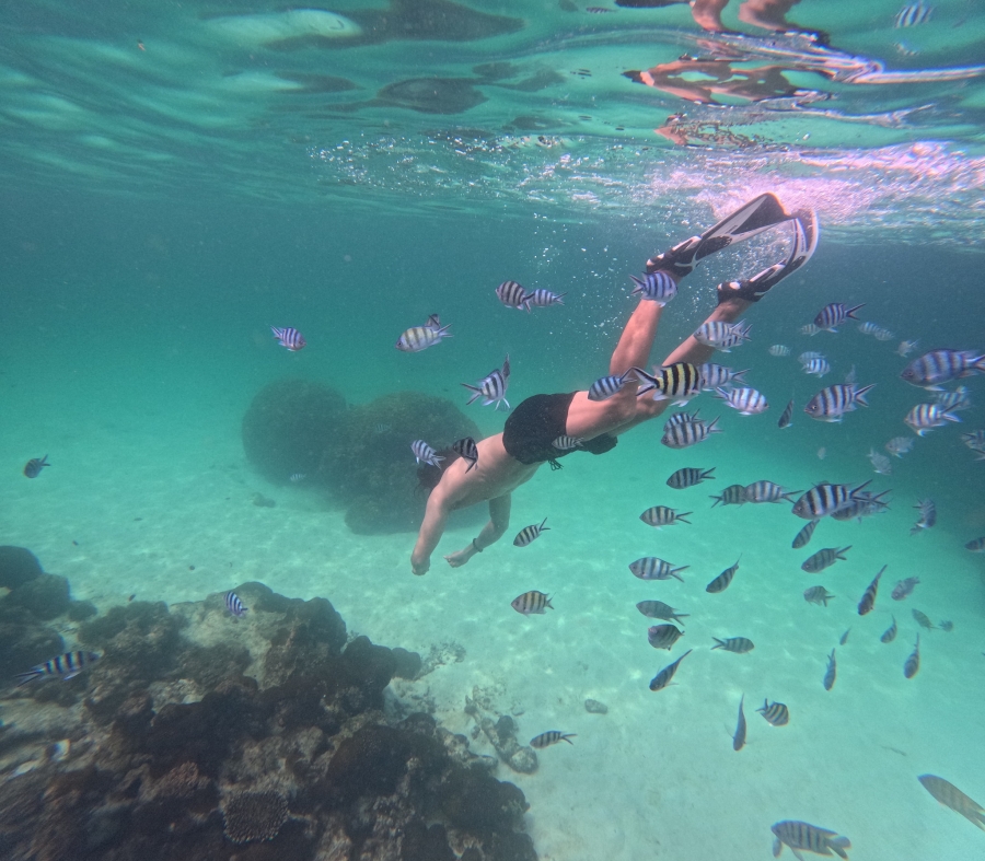 푸꾸옥 3섬 카누 투어 (스노클링, 드론 사진 촬영, 디럭스 해산물 점심 포함)