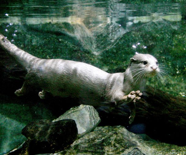 activity_detail_image