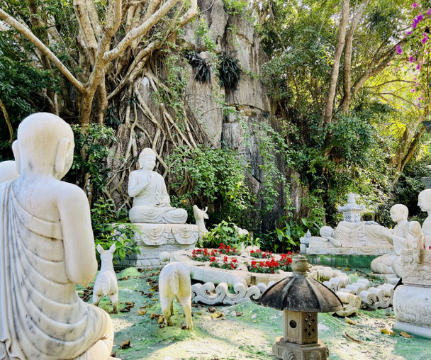 activity_detail_image