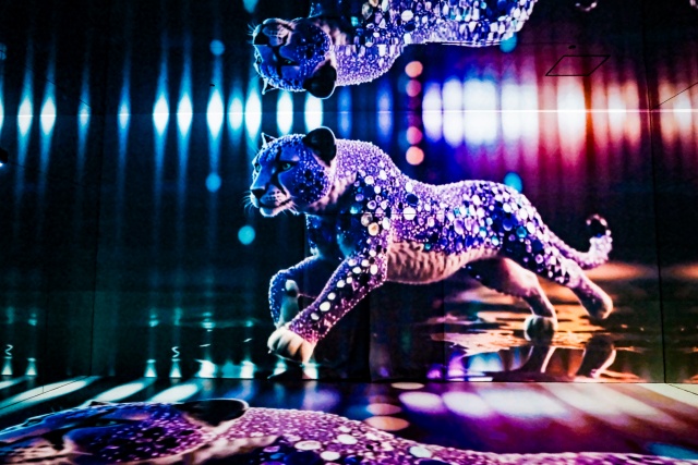 [50%할인] 오사카 미라클 월드 입장권