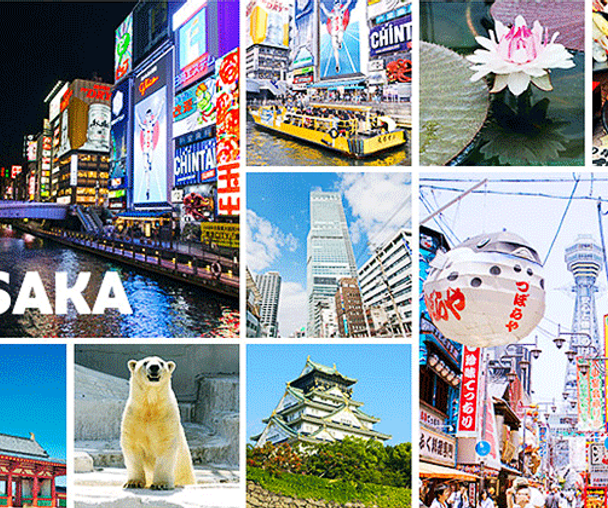 activity_detail_image