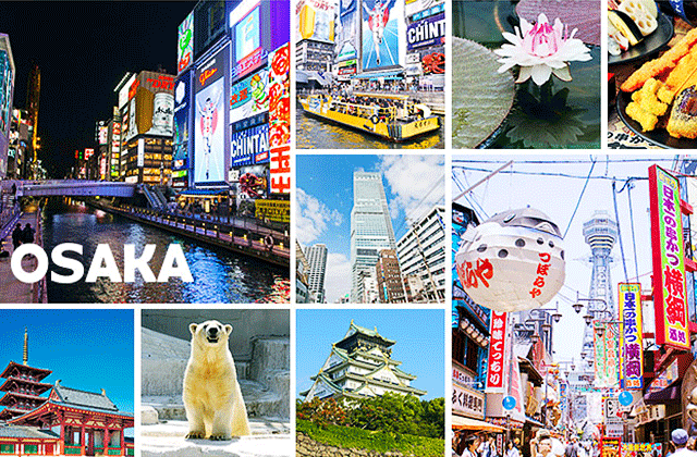 Osaka Amazing Pass Digital Ticket