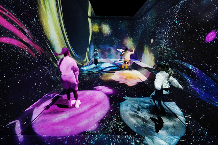 Tokyo Toyosu teamLab Planets Admission Ticket