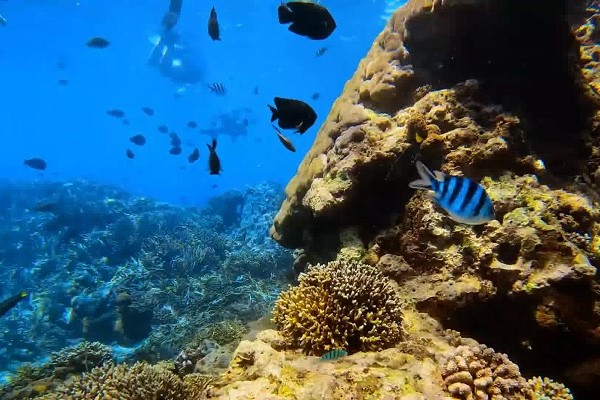 발리 렘푸양 사원+ 물의 궁전+ 블루라군 스노쿨링 동부 데이투어
