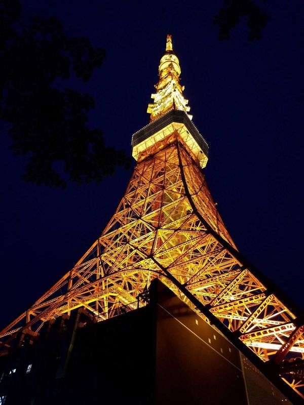 Tokyo Tower Observation Deck Priority Entry Ticket
