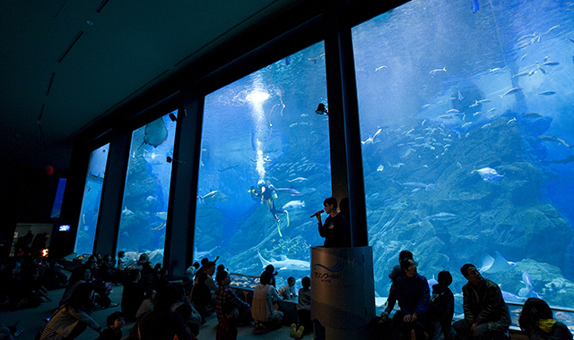 Fukuoka Marine World Uminonakamichi Admission Ticket