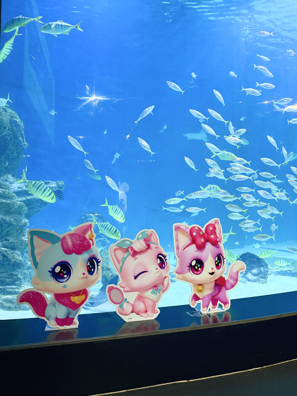 대구 신세계 아쿠아리움 입장권