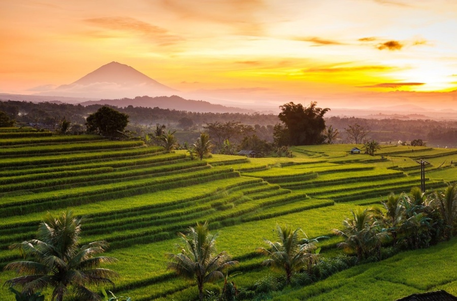 北バリ・インスタ映えプライベートツアー